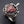 Load image into Gallery viewer, Sterling Silver Gothic Red Heart Dagger Rings
