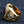 Gold-Plated Amethyst Fleur-de-Lis Bishop Ring showing silver fleur-de-lis on the gold-tone right shoulder.