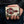 Cobra Skin Red Stingray Cross Biker Wallet, held in hand
