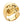 Anillo de calavera de latón bañado en oro de 14k, ángulo bajo opuesto de la calavera bañada en oro sobre fondo blanco