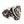 Anillo de plata esterlina con león y escudo de caballero, anillo en vista de tres cuartos a la izquierda
