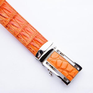 Ratchet-belte med oransje krokodilleinnlegg som viser innleggsspennen og den blanke rammen plassert diagonalt.