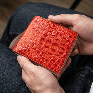 Cartera bifold de piel de cocodrilo hornback roja, mostrada en uso a escala realista