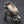 Shiva Shell Dragon 925 Sterling Silver Ring, right three-quarter view on dark surface