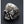 Load image into Gallery viewer, Sterling Silver Marijuana Skull Rings
