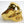 Load image into Gallery viewer, Metalic Gold Skull Ring
