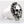 Bague Crâne Punk Not Dead