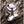Charger l&#39;image dans la galerie, Bague Pour Homme Violet Tigre Dragon Japonais
