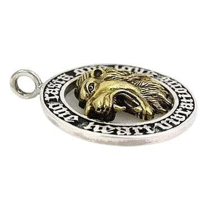 Pendentifs Lion Rasta Argent