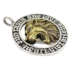 Pendentifs Lion Rasta Argent