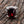 Gothicrock