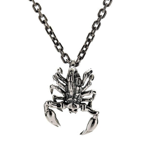 Small Scorpion Sterling Silver Pendant: The detailed sterling silver scorpion pendant shown on a sturdy sterling silver link chain